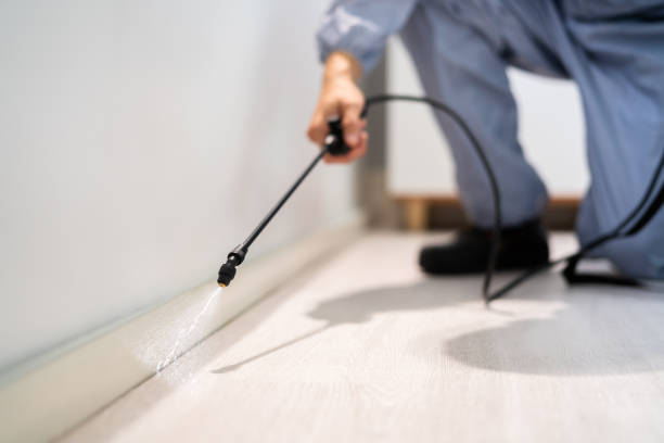 Licensed Pest Control service in South Miami, FL - Show Me Pest Control