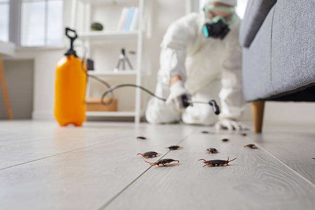 Commercial Kitchen Cockroach Control in South Miami